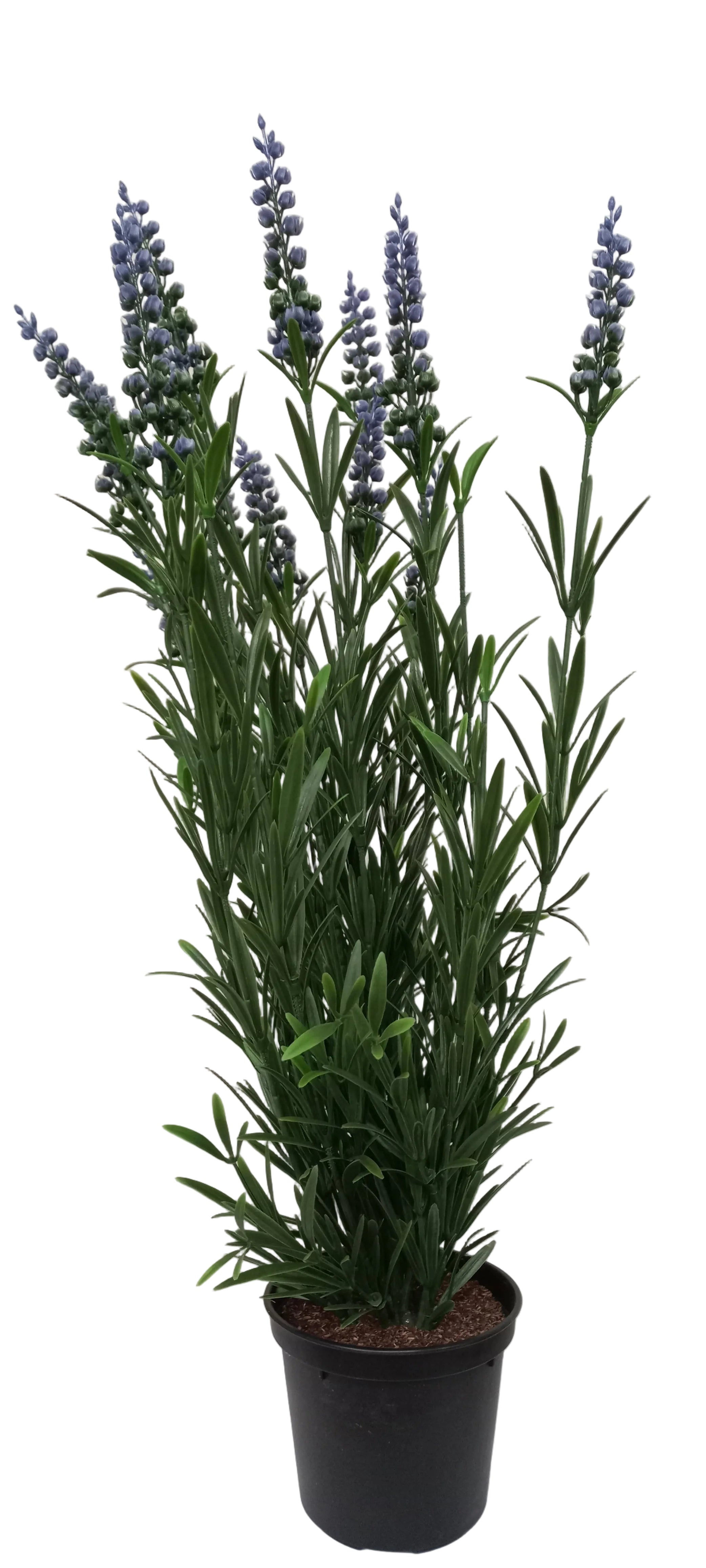 56CM LAVENDER POTTED