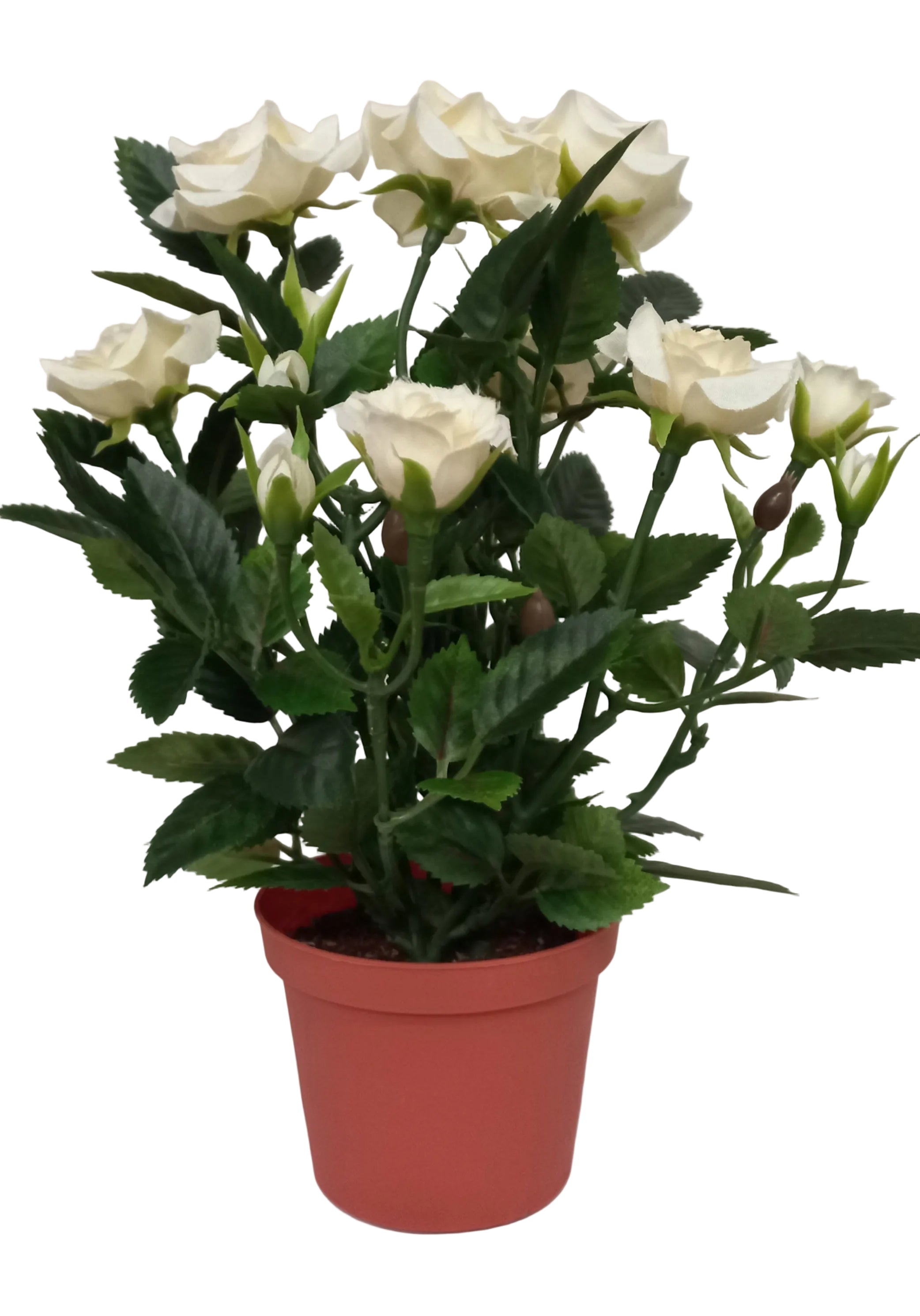 21CM CREAM POTTED ROSE