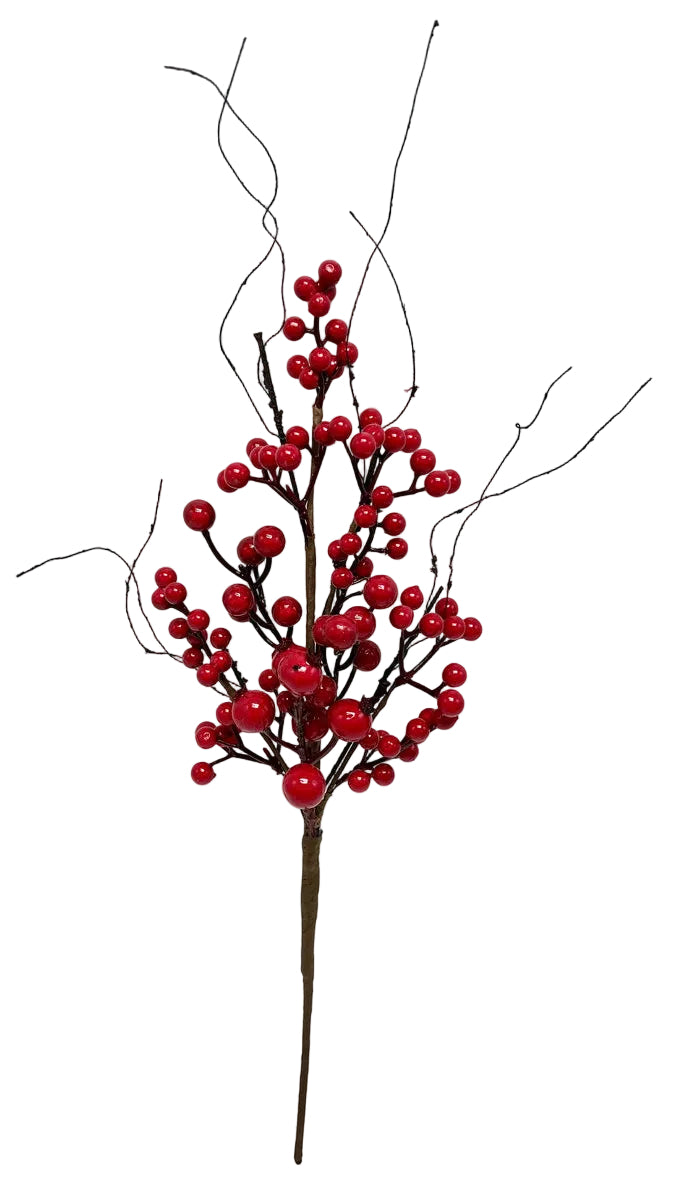 50CM POM BERRY SPRAY
