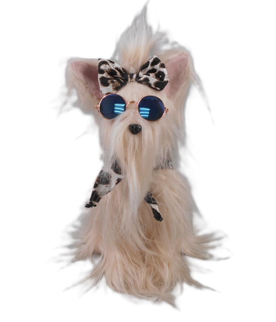 DOG WITH SUNGLASSES