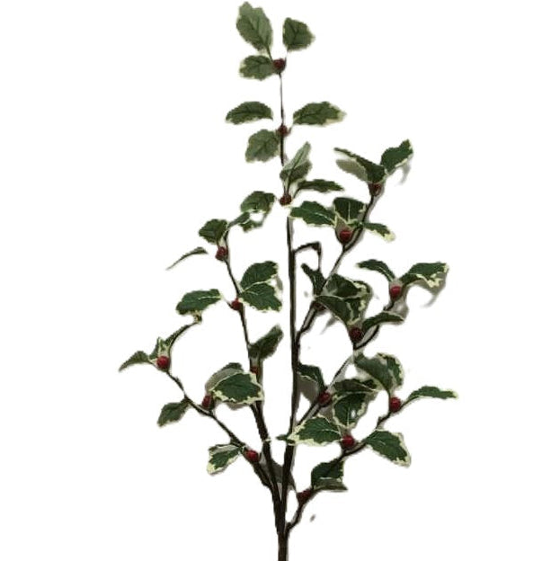 An artificial variegated holly leaf stem with green and white variegated leaves on a dark green stem.