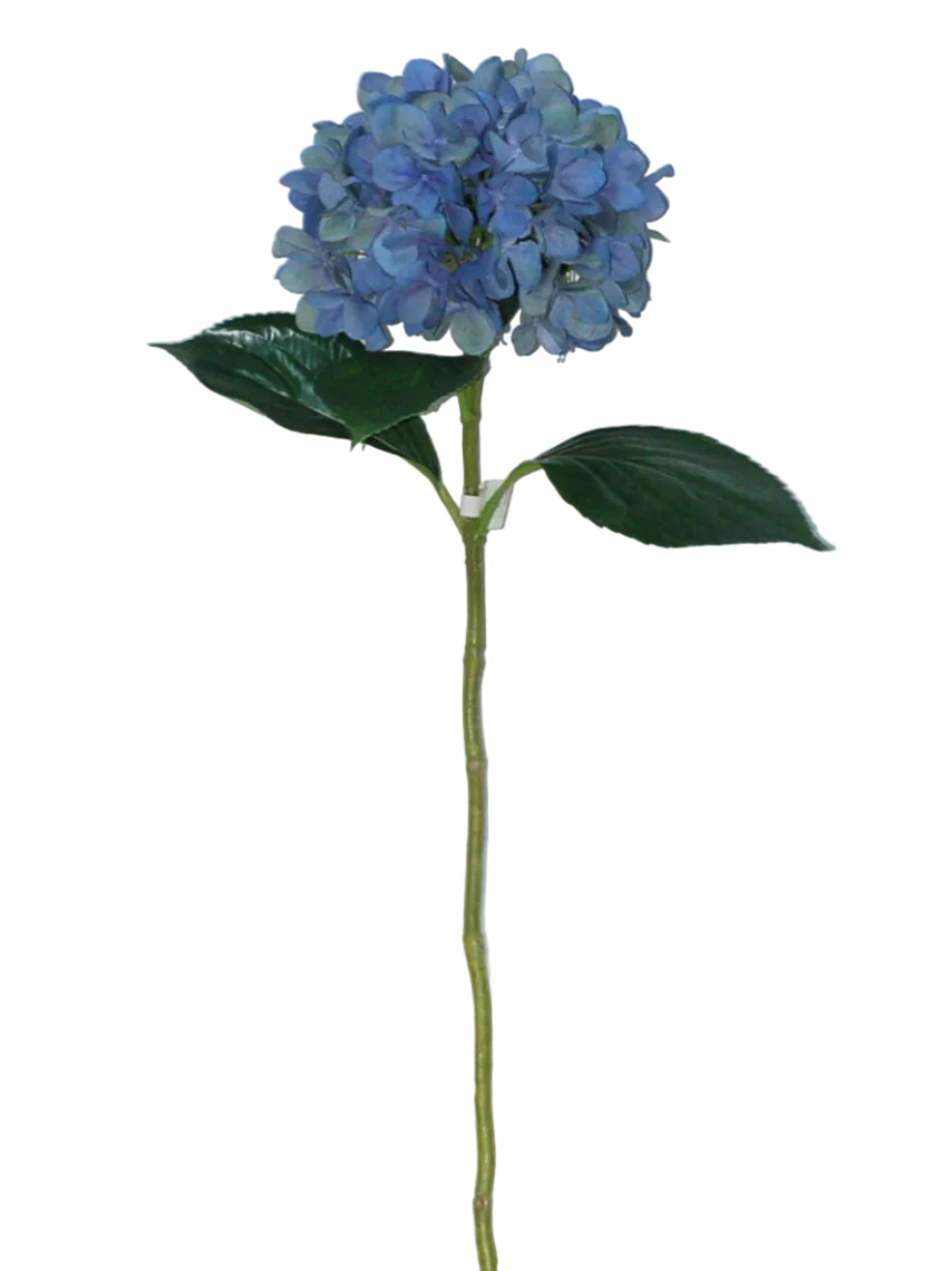 LG BLUE HYDRANGEA STEM