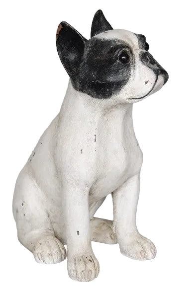 FRENCH BULLDOG