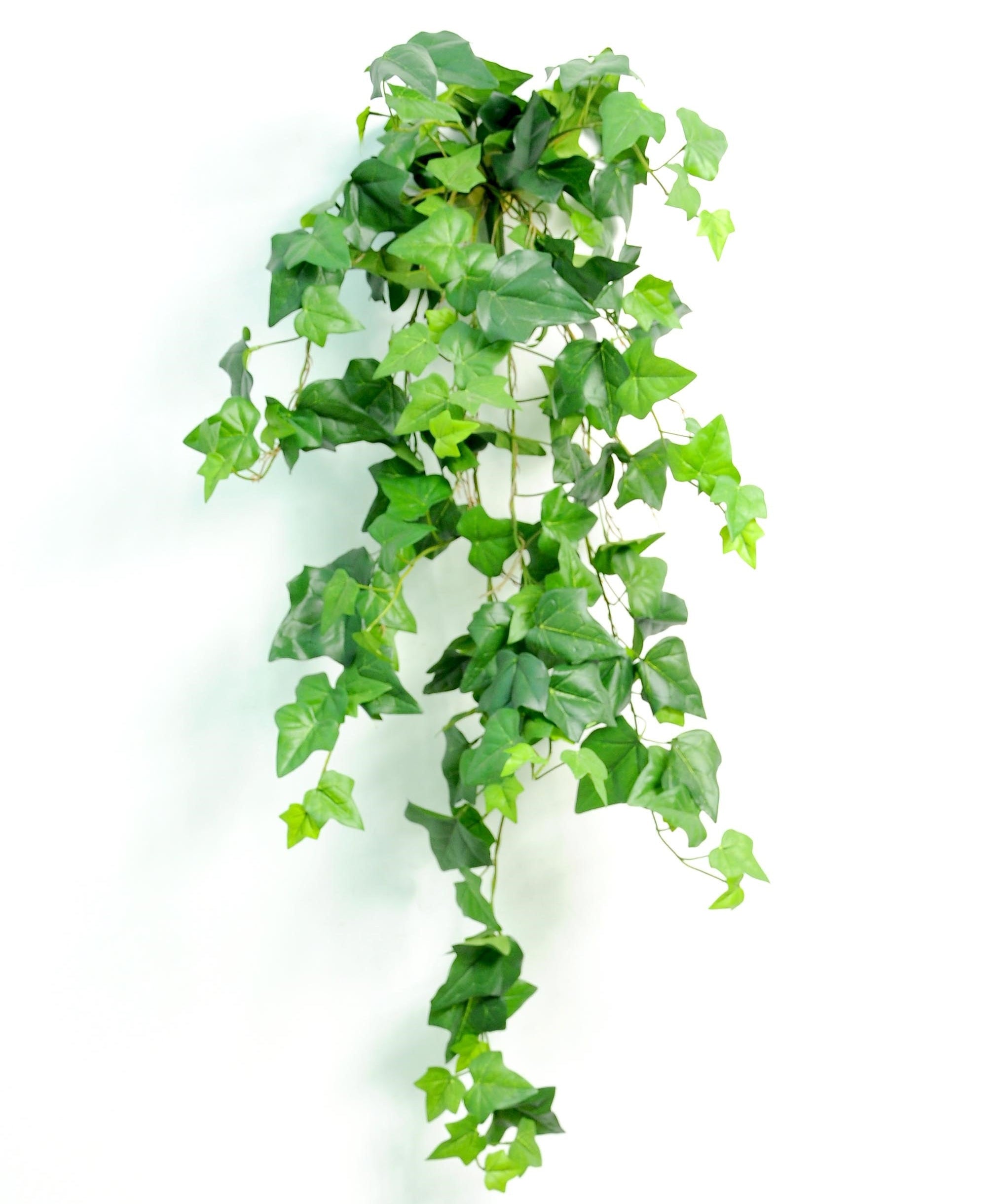 MULTISTEM IVY SPRAY