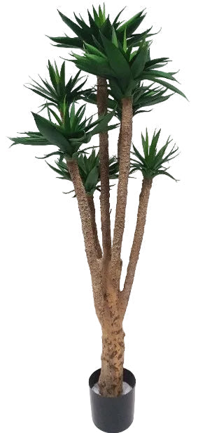 3FT AGAVE TREE