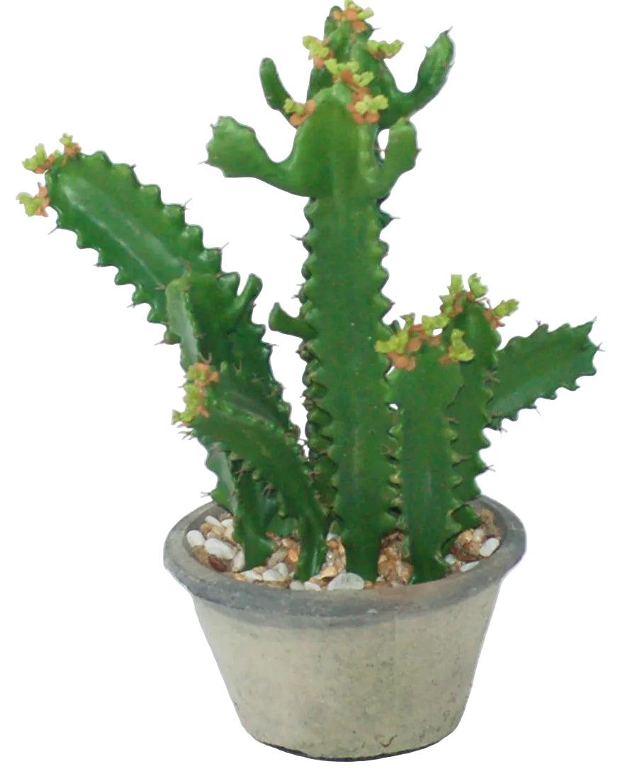 17" POTTED CACTUS
