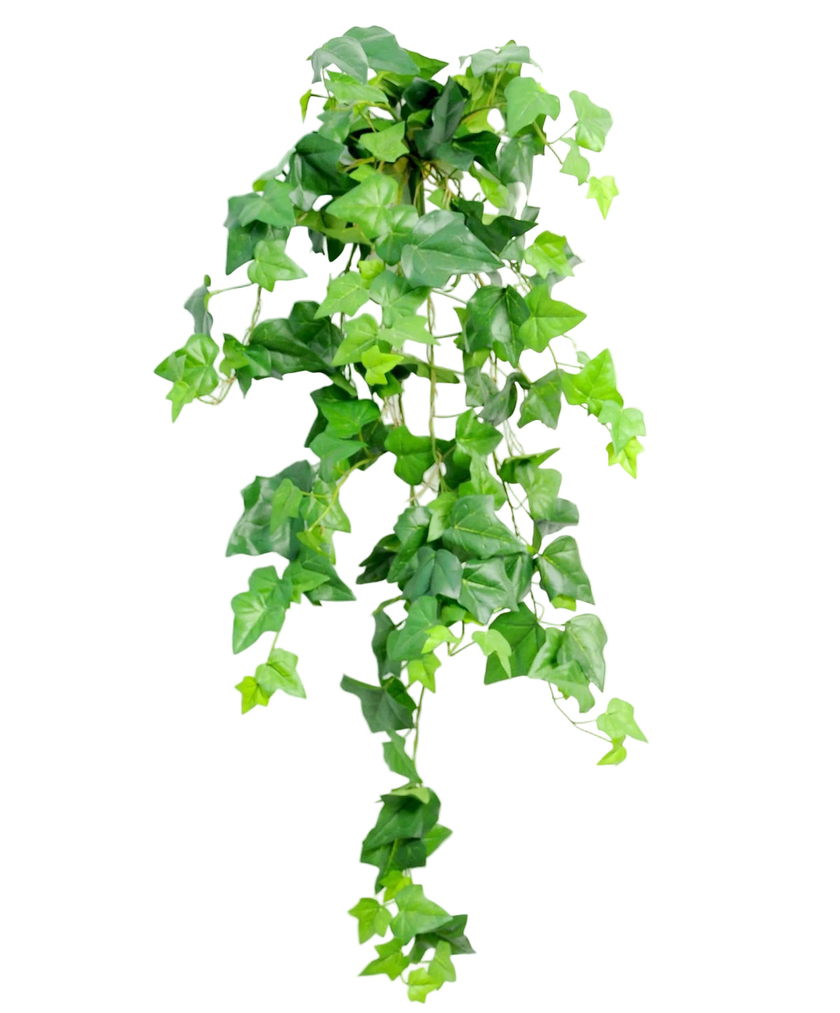 MULTISTEM IVY SPRAY