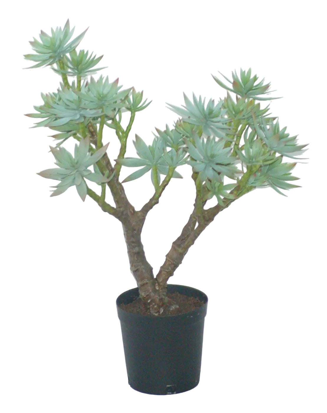 28" NEEDLE POTTED SUCCULENT