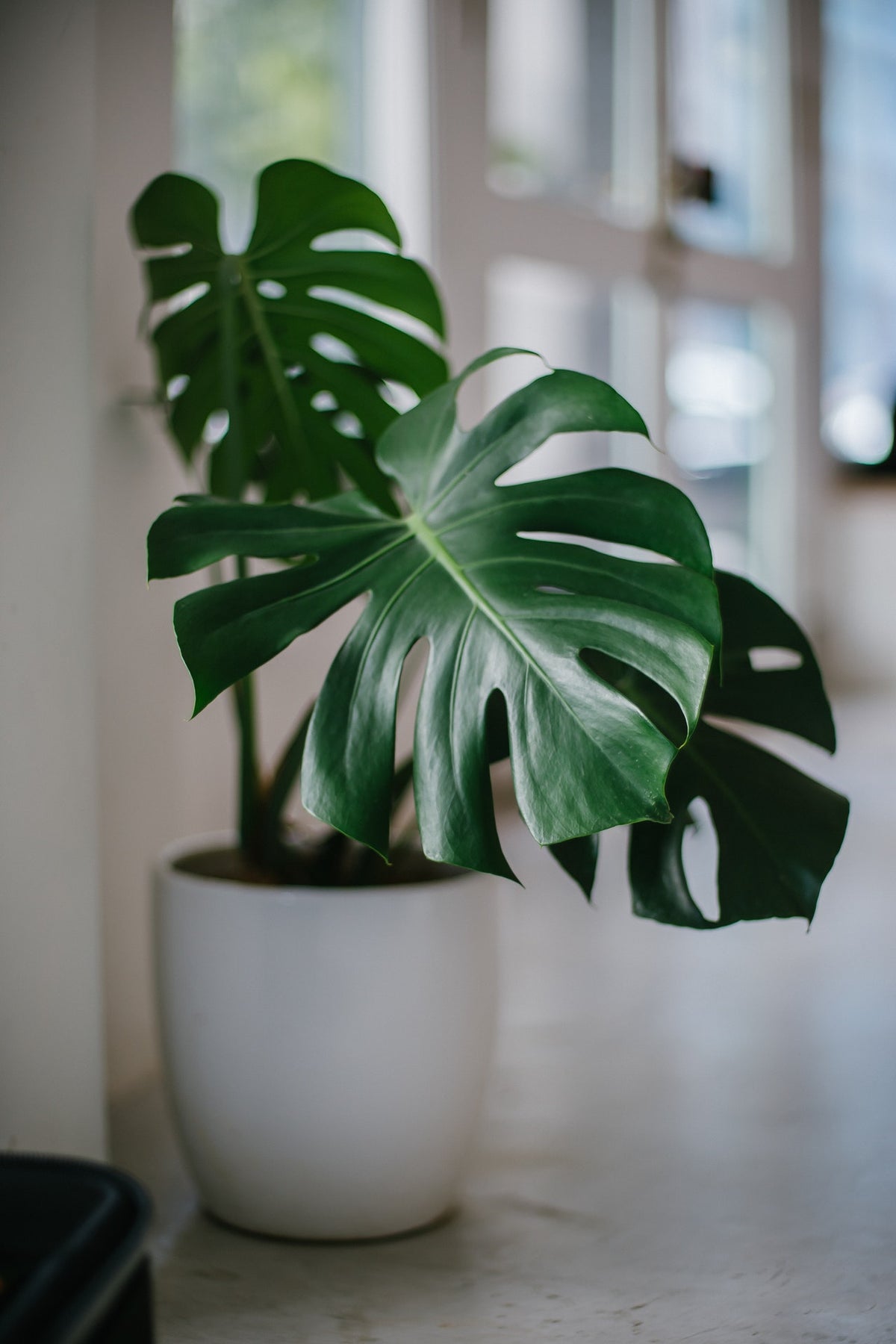 Blog Post 2