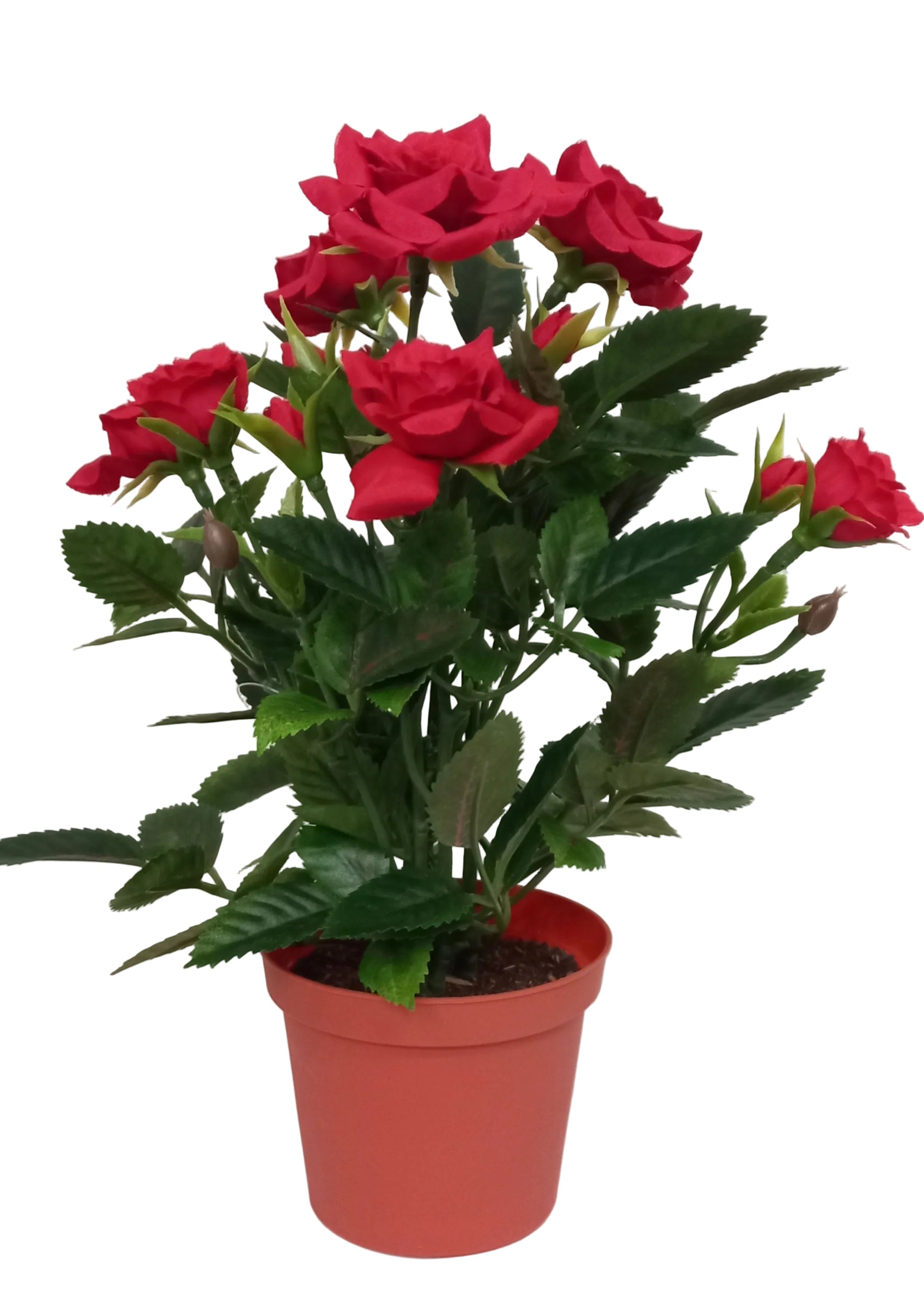 21CM RED POTTED ROSE