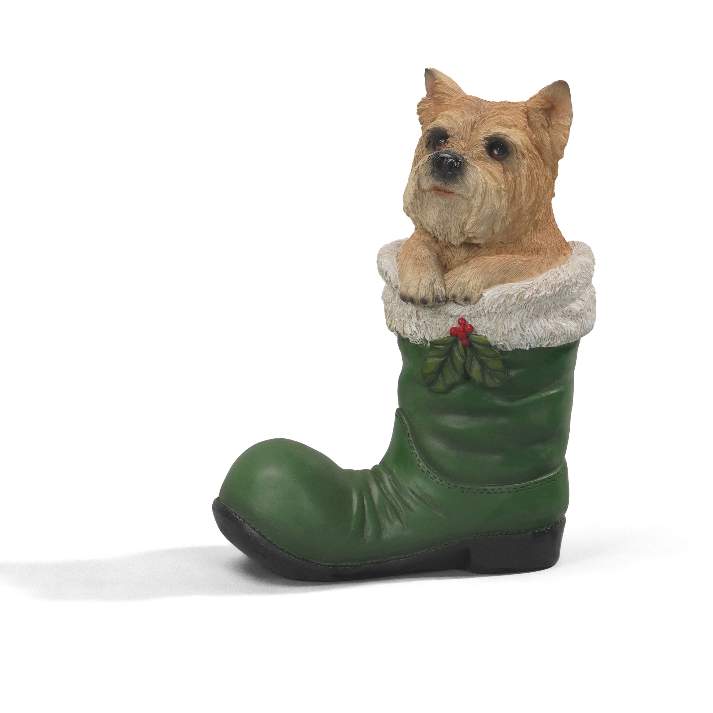 DOG IN GREEN BOOT