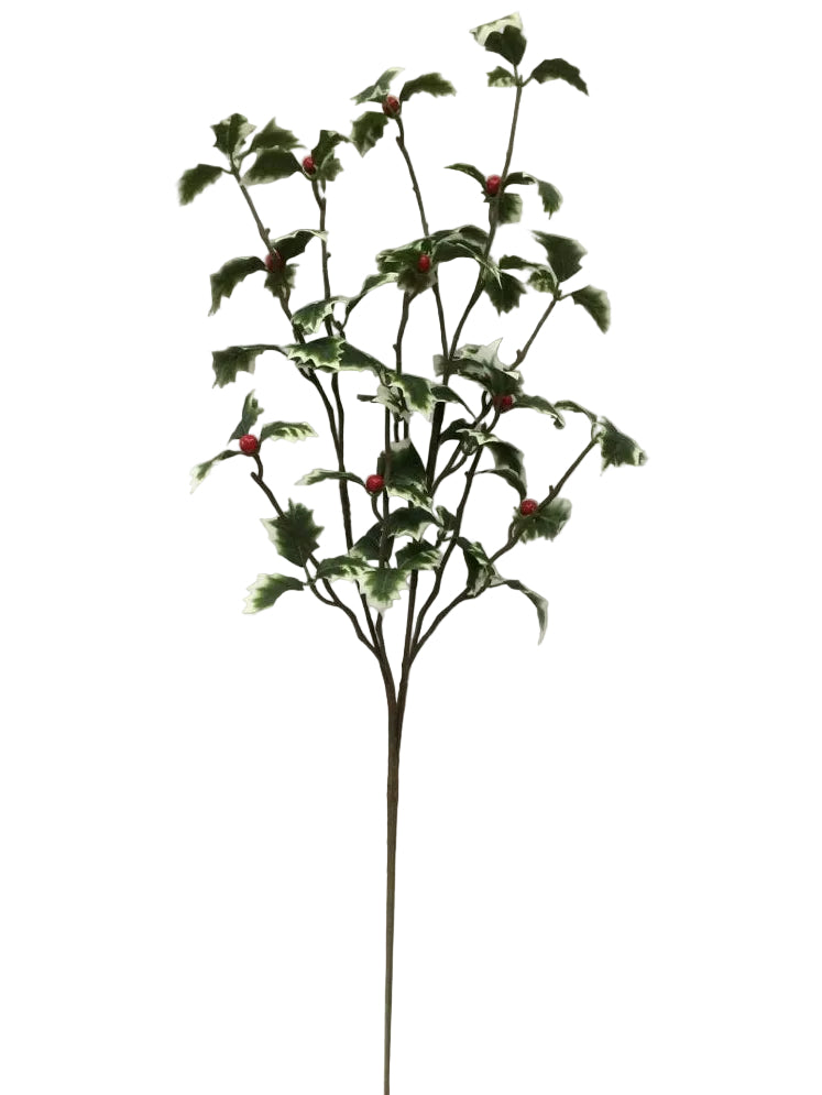 VARIEGATED HOLLY BERRY SPRAY