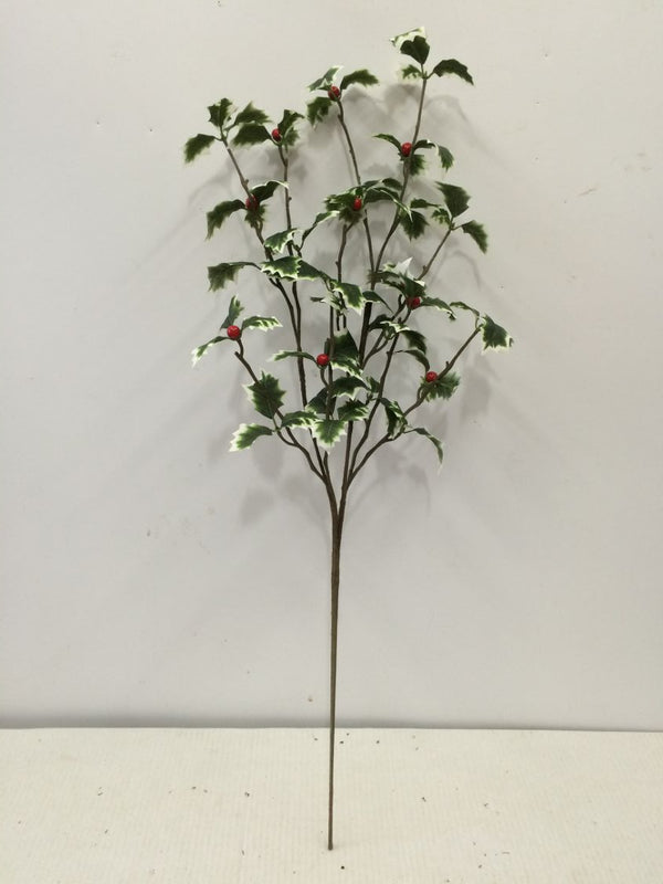 VARIEGATED HOLLY BERRY SPRAY