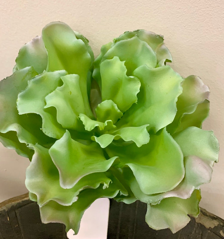 LG PNK/GRN SUCCULENT STEM