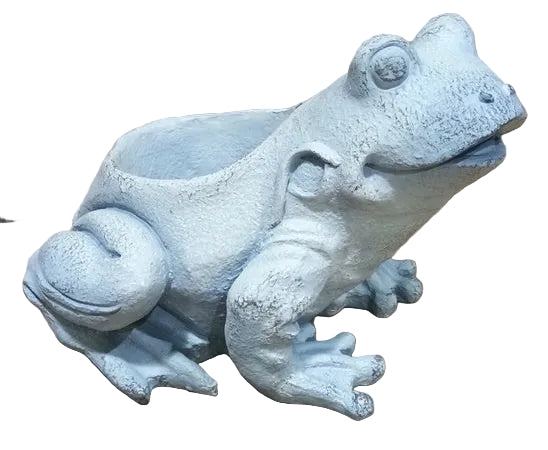 FROG POT