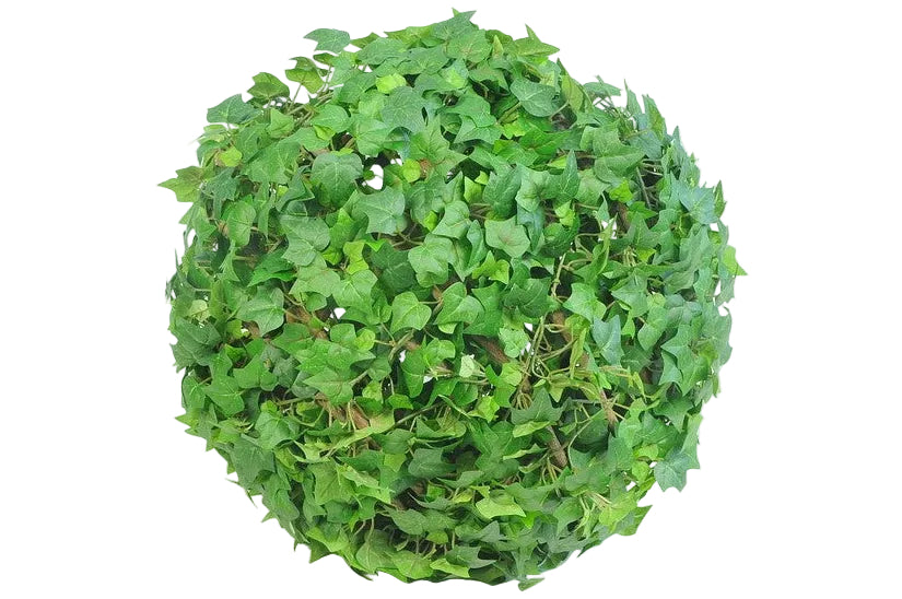 45CM ENGLISH IVY BALL